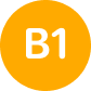 b1