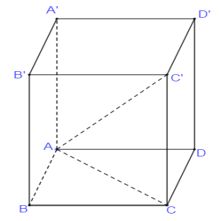 Hướng dẫn giải bài xích tập dượt đường chéo hình lập phương