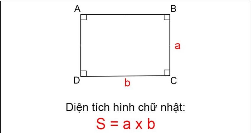 Làm thế nào là nhằm tính diện tích S một hình chữ nhật Lúc chỉ biết chu vi của nó?
