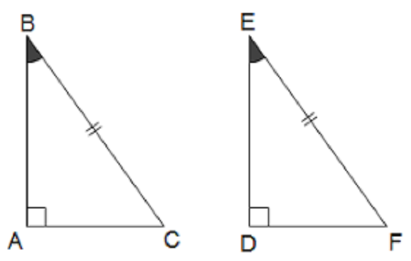  Hai tam giác vuông đều bằng nhau theo đòi cạnh huyền và góc nhọn
