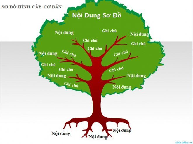 Cẩm nang cách vẽ cây sơ đồ tư duy chi tiết và dễ hiểu