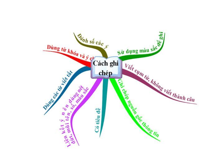 Hướng dẫn kiểu vẽ sơ vật tư duy