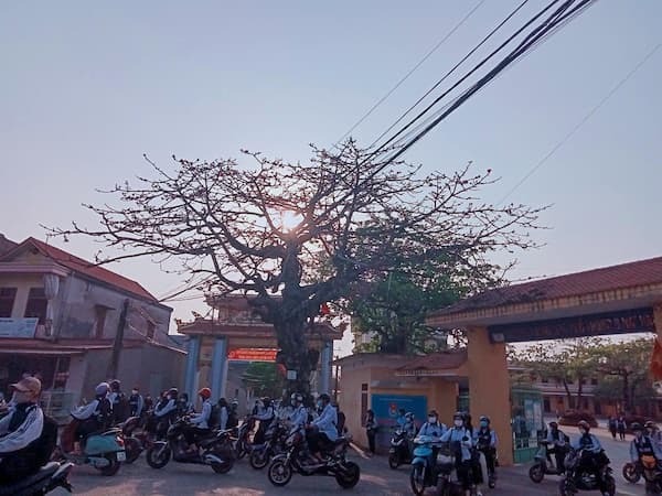 Trường THPT B Hải Hậu - Nam Định có tốt không?