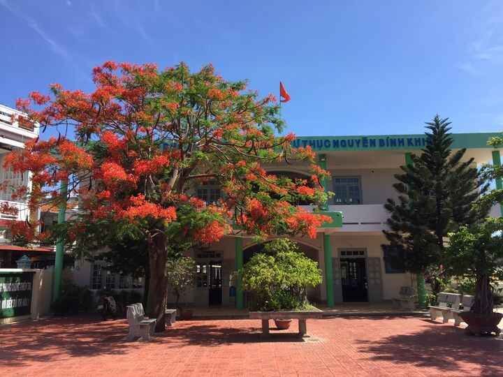 Một góc sân trường THPT DL Nguyễn Bỉnh Khiêm ngày hè rực rỡ phượng đỏ.