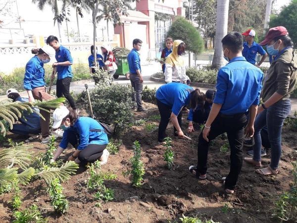 Học sinh tham gia lao động trồng cây