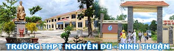 đánh giá Trường THPT Nguyễn Du có tốt không